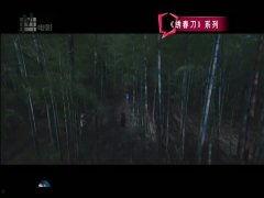 国产精品大陆在视频